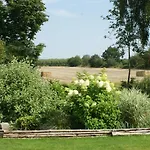 Lustrup Ribe